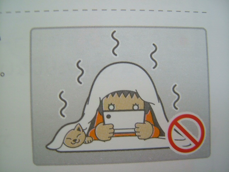 Illustration for article titled Hey Dummy, Don't Microwave The DSi (And Other Nintendo Tips)